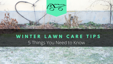 Winter Lawn Care Tips. 5 Things You Need to Know