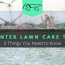 Winter Lawn Care Tips. 5 Things You Need to Know